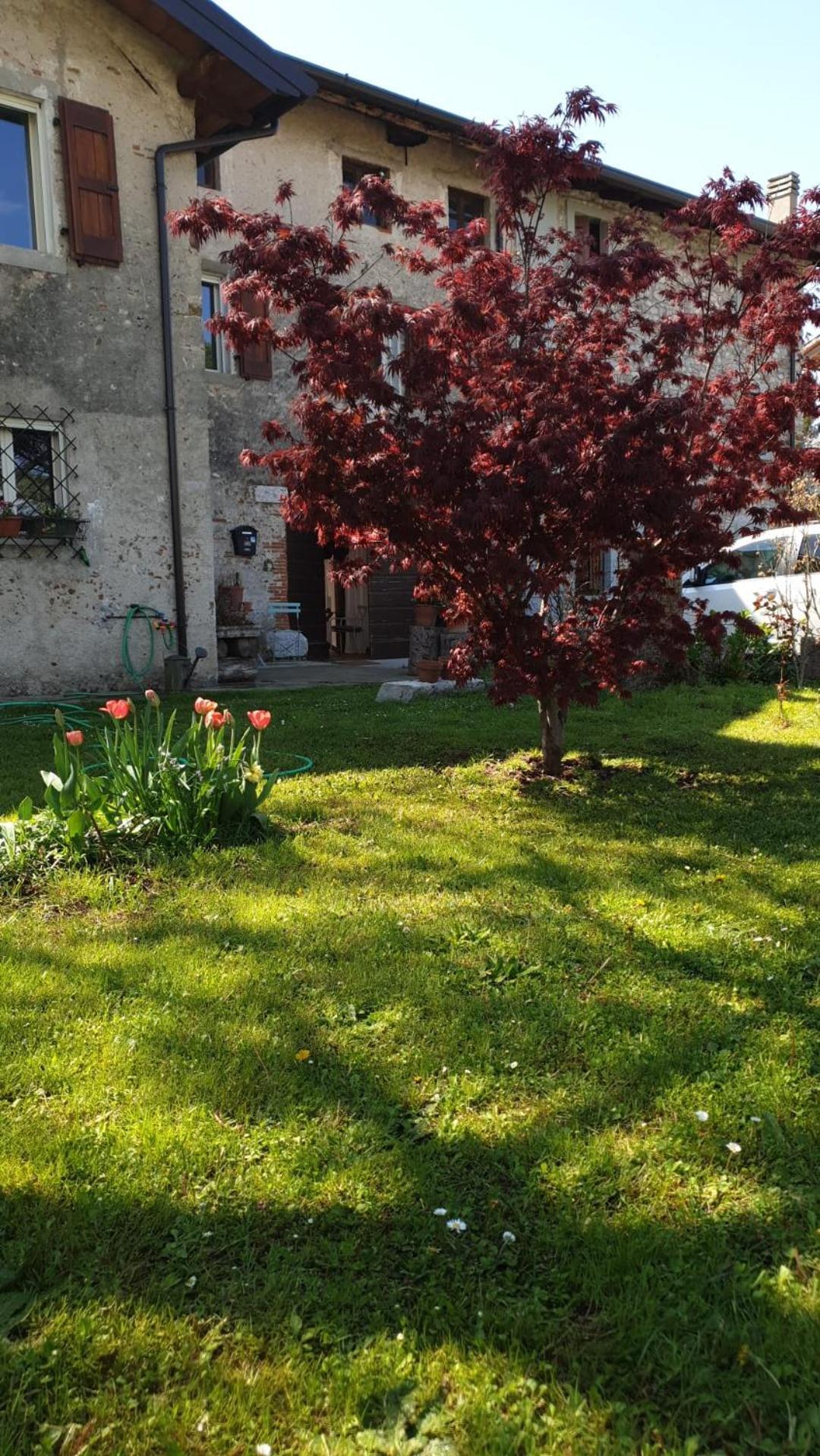 B&B Karin - Rooms & Breakfast Udine Bagian luar foto